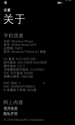 WP-8.10.14203.306-about.png