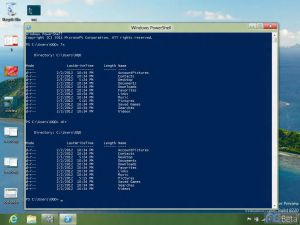 W8 8220-Windows PowerShell 2.jpg