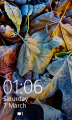 WP-8.10.14176.243-lockscreen.png